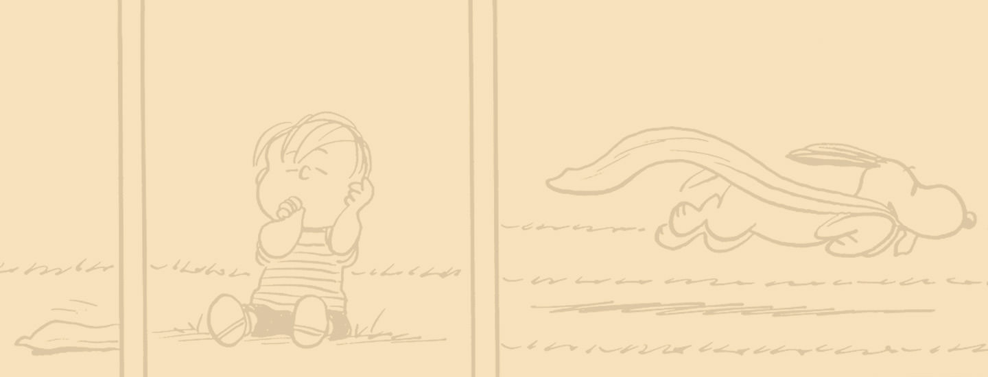 Charles M. Schulz - Peanuts. Mai braccare un bracchetto