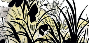 Elisa Menini - Nippon Kwaidan. Storie di ombre e fantasmi